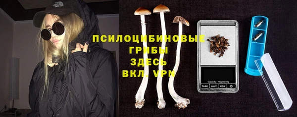 таблы Богданович