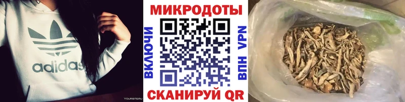Галлюциногенные грибы ЛСД  Купить где  Ершов 